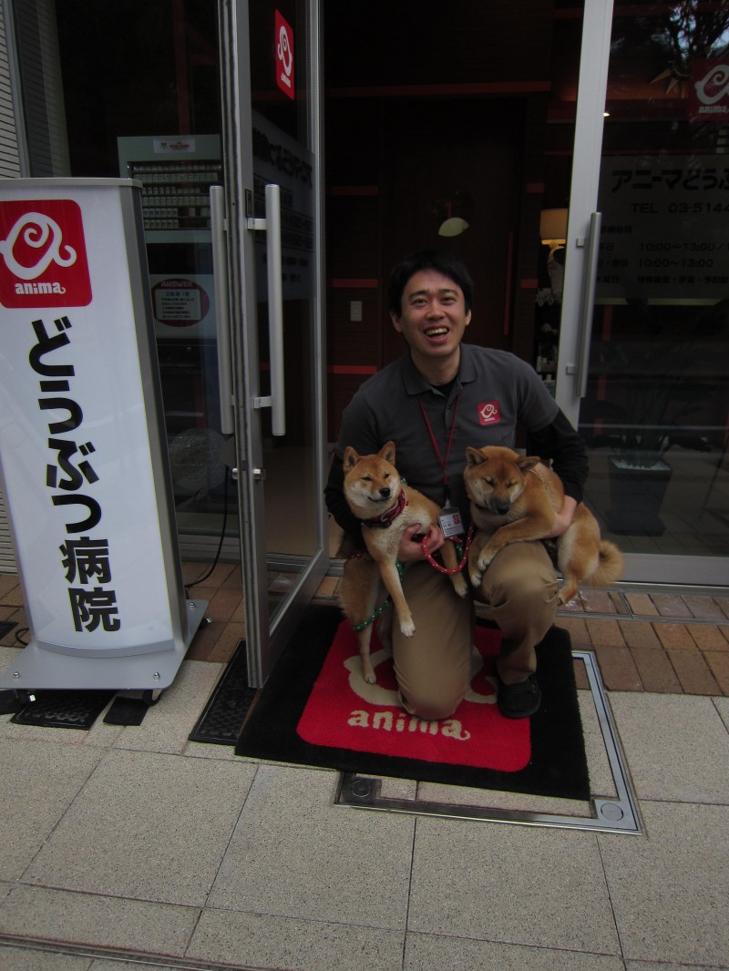 Tokyo's Anima Animal Hospital's veterinarian Chikao Muratani with two shiba inu puppies. 